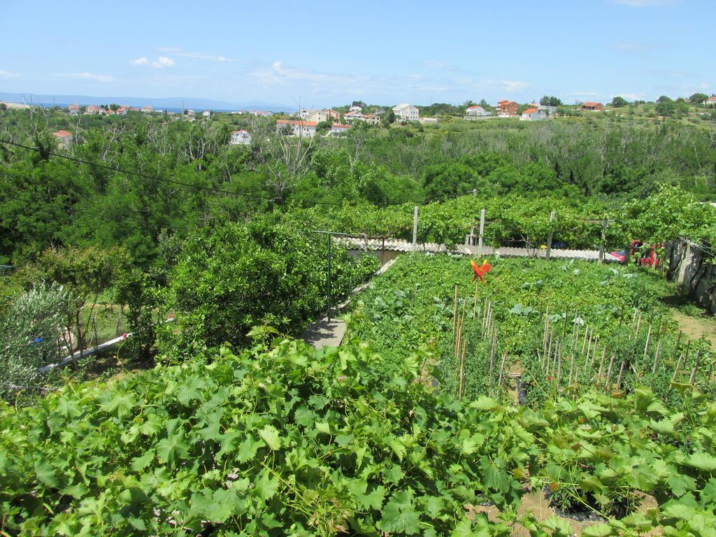 Apartmani Roza Lopar Exterior photo